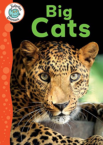 Beispielbild fr Tadpoles Learners: Big Cats zum Verkauf von WorldofBooks