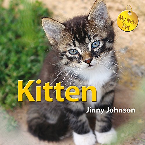 Beispielbild fr Kitten (My New Pet) zum Verkauf von WorldofBooks