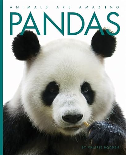 Beispielbild fr Pandas (Animals Are Amazing) zum Verkauf von WorldofBooks