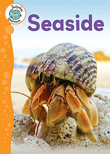 9781445138534: Seaside (Tadpoles Learners)
