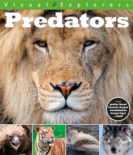 Imagen de archivo de Predators (Visual Explorers) a la venta por WorldofBooks
