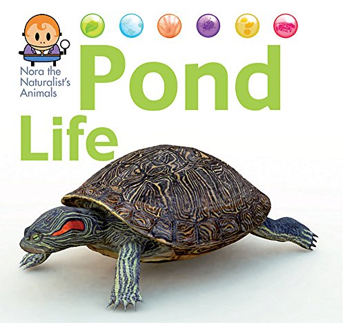 9781445144962: Pond Life (Nora the Naturalist's Animals)