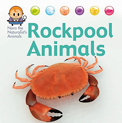 9781445144979: Rock Pool Animals (Nora the Naturalist's Animals)