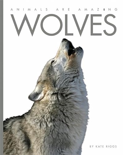 9781445145174: Animals Are Amazing: Wolves