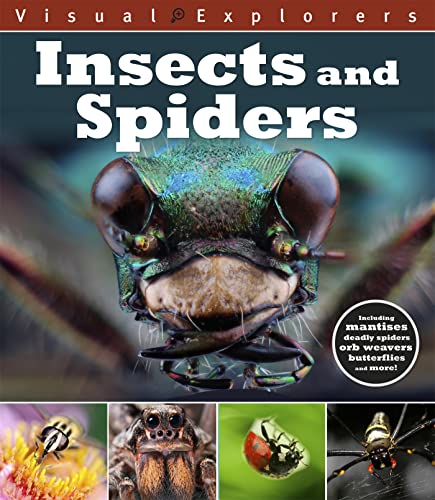 9781445148335: Insects and Spiders (Visual Explorers)