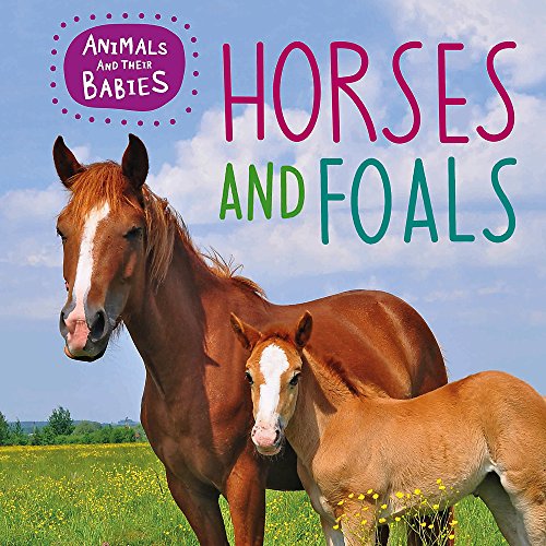 Beispielbild fr Horses & foals (Animals and their Babies) zum Verkauf von WorldofBooks