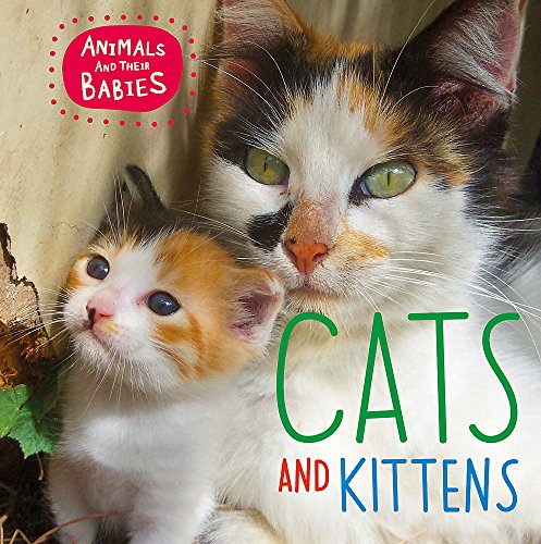 Stock image for Animals and their Babies: Cats & kittens for sale by Discover Books