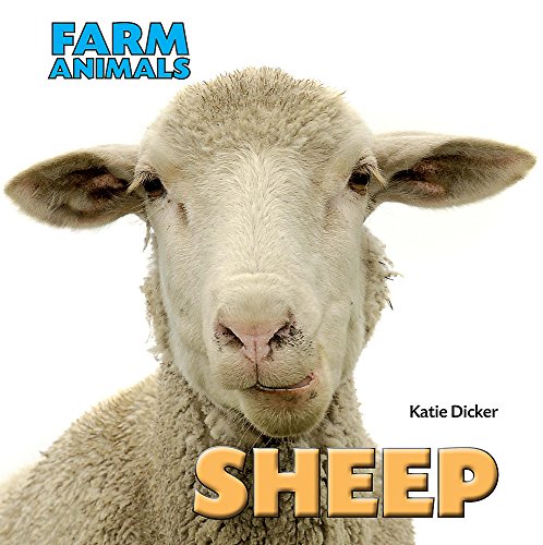 Beispielbild fr Sheep (Farm Animals) zum Verkauf von WorldofBooks