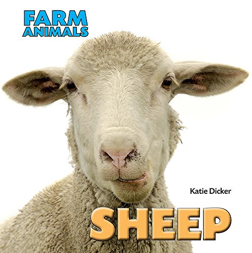 Stock image for Sheep (Farm Animals) for sale by WorldofBooks
