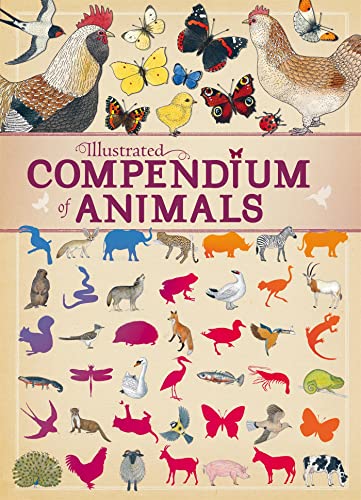 9781445151250: Illustraded Compendiums of Animals