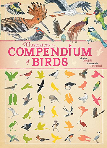 Stock image for Illustrated Compendium of Birds for sale by AwesomeBooks
