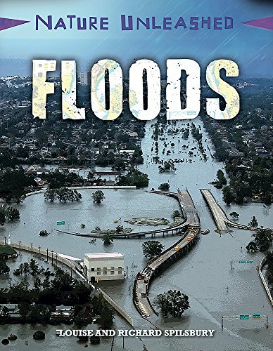 Beispielbild fr Floods (Nature Unleashed) zum Verkauf von WorldofBooks