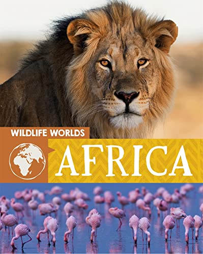Stock image for Africa for sale by Blackwell's