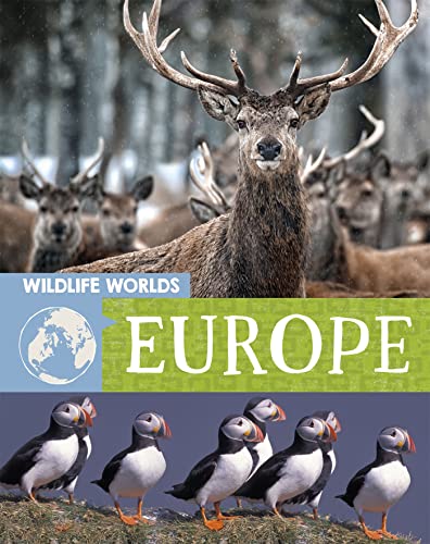 9781445167275: Europe (Wildlife Worlds)