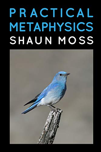 Practical Metaphysics - Shaun Moss