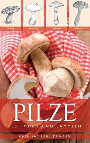 Pilze: Bestimmen und Sammeln - Lohmeyer, Till R. und Ute Künkele