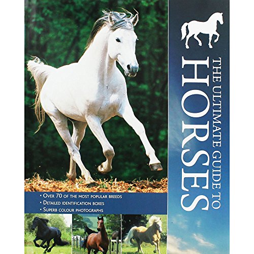Stock image for Encyclopedia - Horses for sale by WorldofBooks