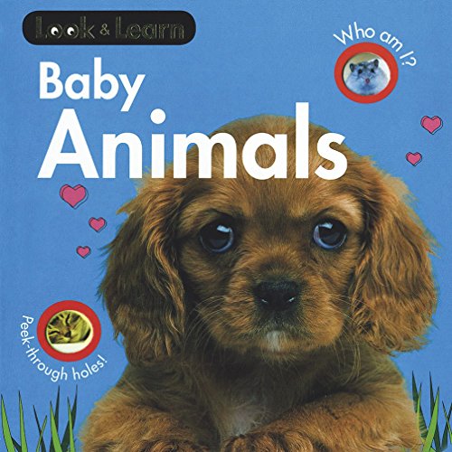 Stock image for Baby Animals Board Book for sale by WorldofBooks