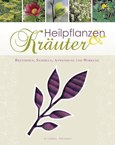 Heilpflanzen & Kräuter - Künkele und Lohmeier Till R. Ute