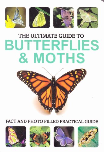 Stock image for The Ultimate Guide to Butterflies & Moths Parragon Books Ltd. for sale by Aragon Books Canada