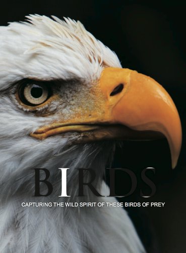 9781445434223: Birds: Capturing the Wild Spirit of These Birds of Prey