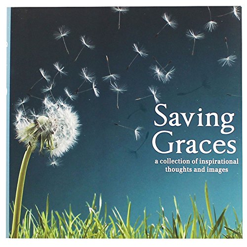 9781445438528: Saving Graces