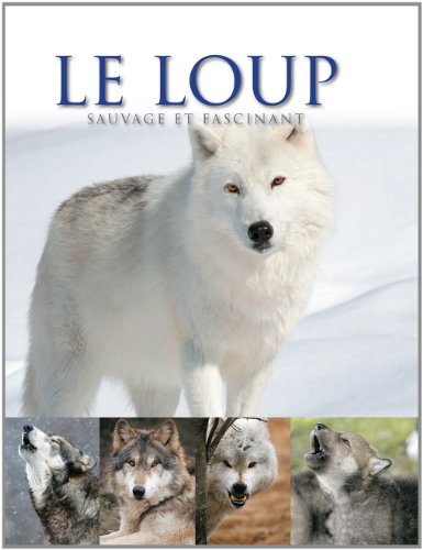 Beispielbild fr Le loup : Sauvage et fascinant zum Verkauf von medimops