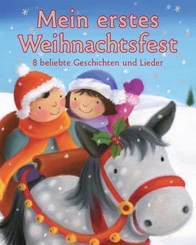 Mein erstes Weihnachtsfest (9781445439785) by Unknown Author