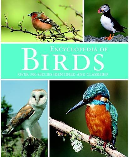 Beispielbild fr Birds (Animal Encyclopedia) zum Verkauf von WorldofBooks