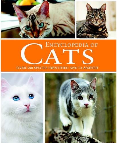 Stock image for Cats (Animal Encyclopedia) for sale by WorldofBooks
