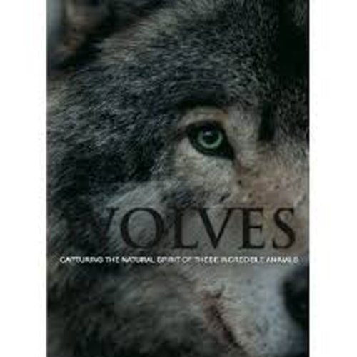 Stock image for Spirit of Wolves for sale by WorldofBooks