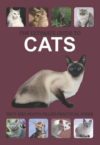 Beispielbild fr The Ultimate Guide to Cats zum Verkauf von WorldofBooks