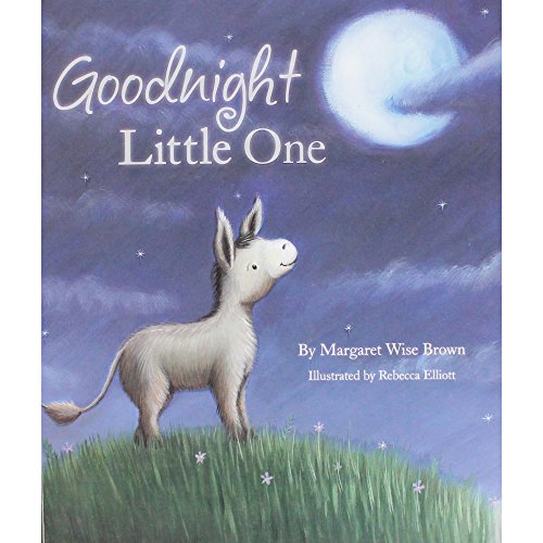 9781445467382: Goodnight Little One (Picture Book)