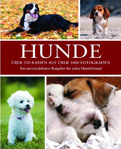 Beispielbild fr Hunde: Rassen Pflege Geschichte zum Verkauf von medimops