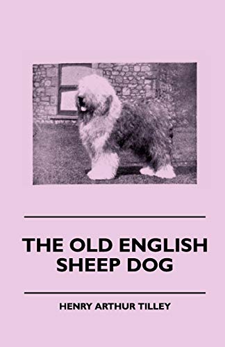 Imagen de archivo de The Old English Sheep Dog a la venta por PBShop.store US