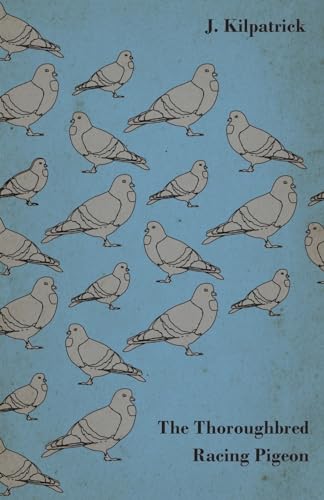 Imagen de archivo de The Thoroughbred Racing Pigeon a la venta por Ria Christie Collections