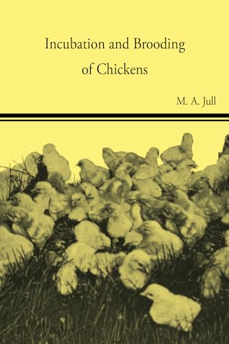 Beispielbild fr Incubation and Brooding of Chickens zum Verkauf von Lucky's Textbooks