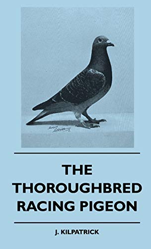 9781445515786: The Thoroughbred Racing Pigeon