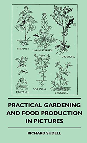 9781445516288: Practical Gardening And Food Production In Pictures