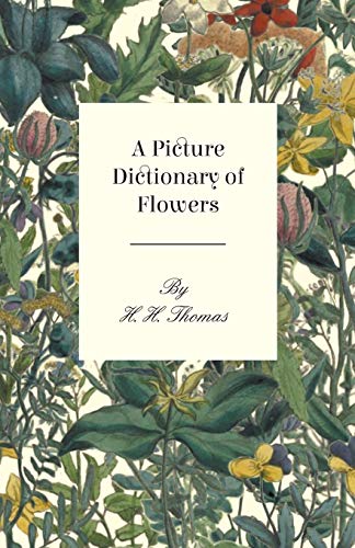 Imagen de archivo de A Picture Dictionary of Flowers a la venta por SecondSale