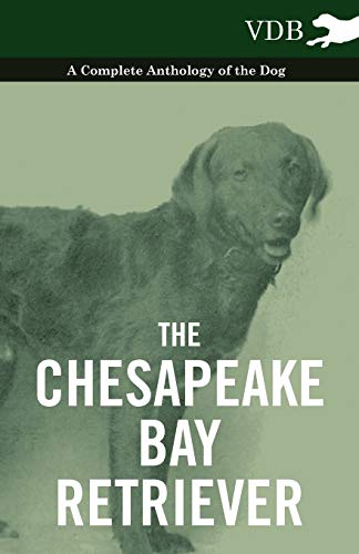 Beispielbild fr The Chesapeake Bay Retriever - A Complete Anthology of the Dog - zum Verkauf von Lucky's Textbooks