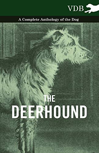 9781445525938: The Deerhound - A Complete Anthology of the Dog