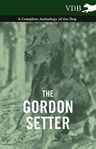 Stock image for The Gordon Setter - A Complete Anthology of the Dog for sale by Chiron Media