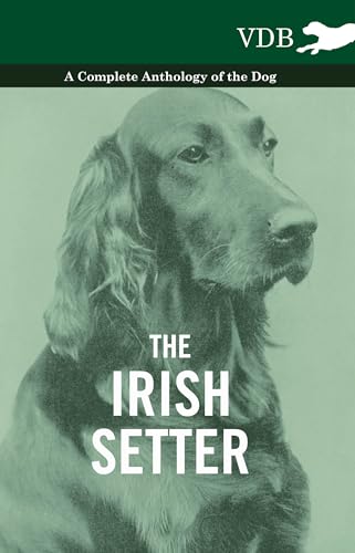 Stock image for The Irish Setter - A Complete Anthology of the Dog for sale by Chiron Media