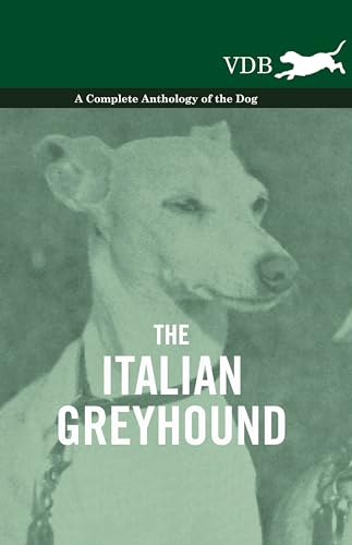 Stock image for The Italian Greyhound - A Complete Anthology of the Dog for sale by Chiron Media