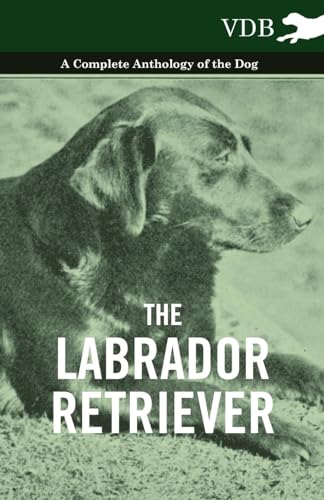 Stock image for The Labrador Retriever - A Complete Anthology of the Dog for sale by Chiron Media