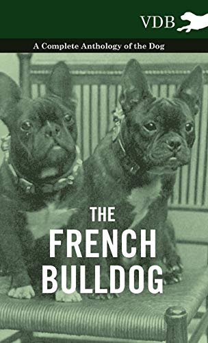 The French Bulldog - A Complete Anthology of the Dog - Various