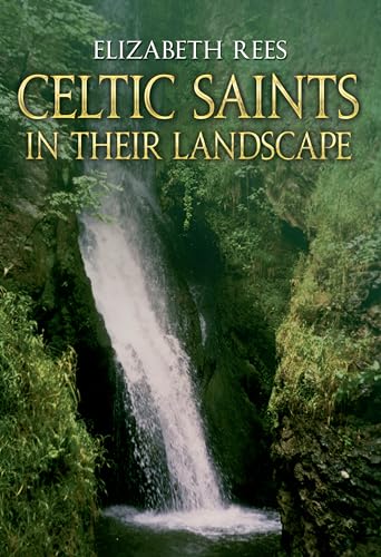 Stock image for Celtic Saints In Their Landscape for sale by WorldofBooks