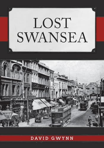 9781445693583: Lost Swansea