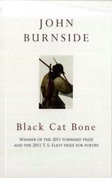 9781445846828: BLACK CAT BONE